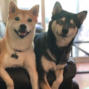 Meet your Posher, Sieun